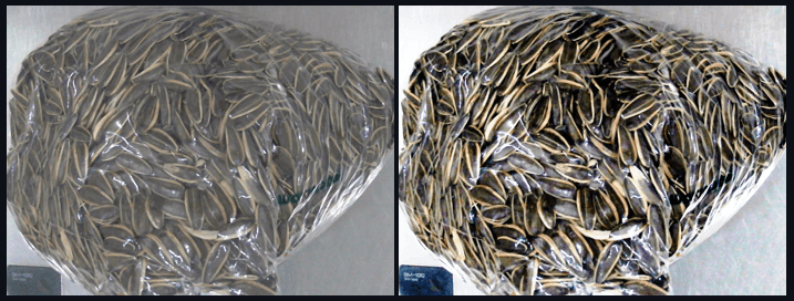 Real-Time Object Recognition screenshot 2